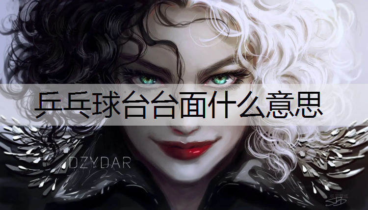 乒乓球台台面什么意思